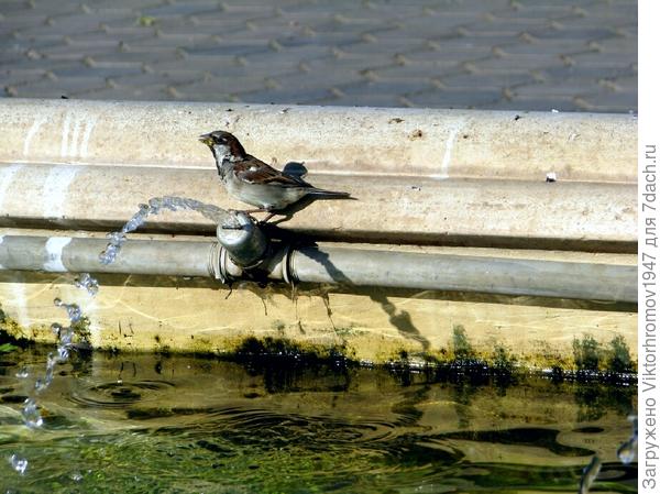 Проверил обстановку...