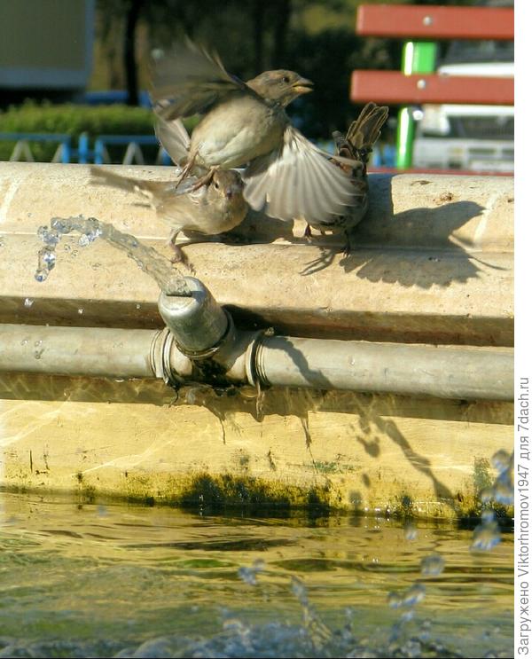 Можно и побаловать...