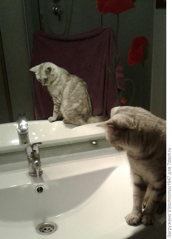 Я приучу их к порядку?...