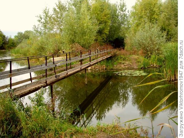 Наш милый мостик...