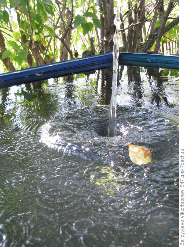 А это "Булька" - всплеск от упавшего яблока в воду.