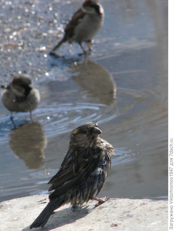 Утро начинается с зарядки и водных процедур