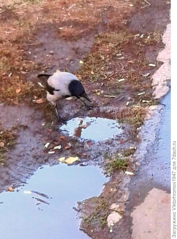 Ух ты...Неужели это я?...