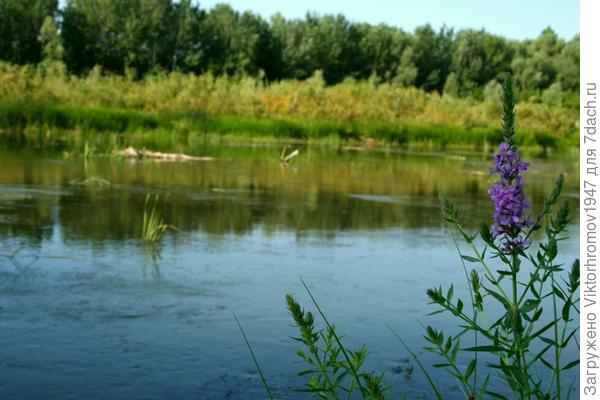 Осень становится всё увереннее.
