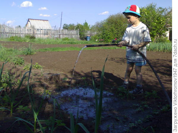 Главный ВОДОЛЕЙ