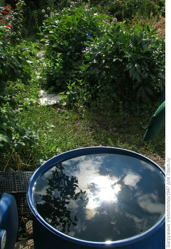 Опять солнышко &quot;купается&quot;в нашей бочке...