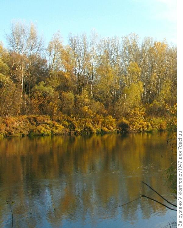 Осень решительно раносит свои золотые краски.