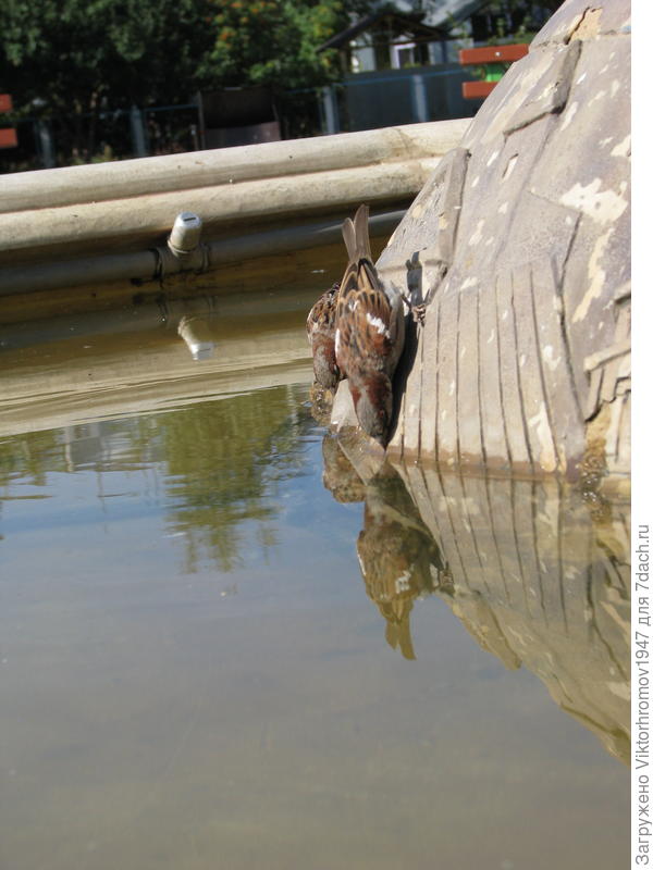 Пить захочешь...и не так встанешь.