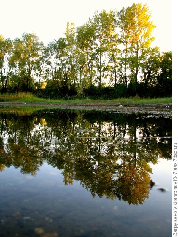 Рощица пожелтела и...поредела.