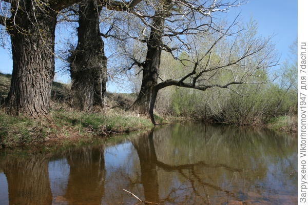 Вот и осень