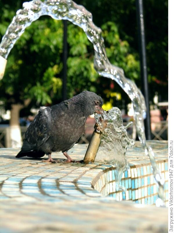 В водяном кольце...