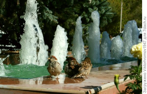 Заодно водички попить