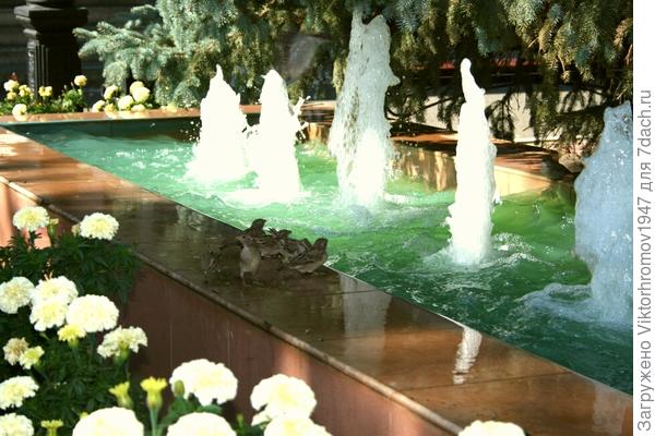 Стайка воробышек прилетела полюбоваться