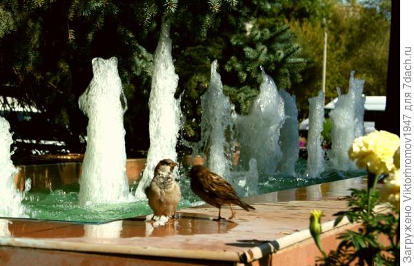 Новости узнать