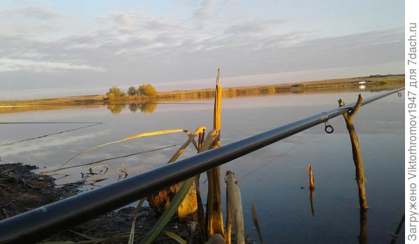 Не бывалая тишина. Будет клев!