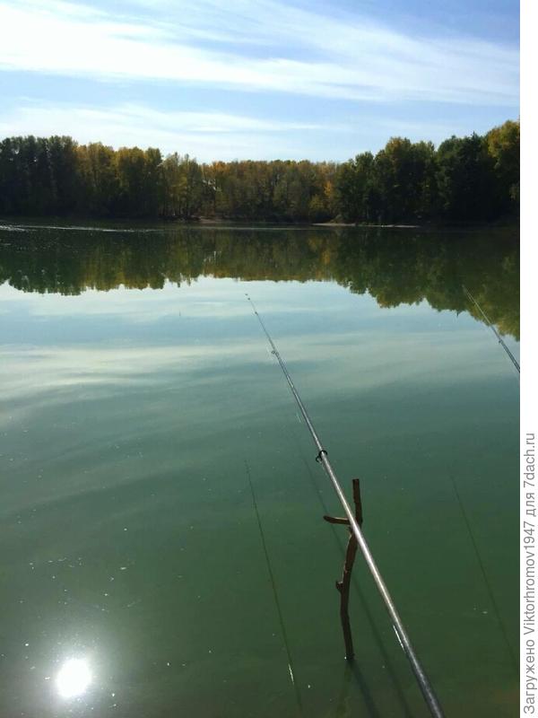 Клюёт только мелкий карасик