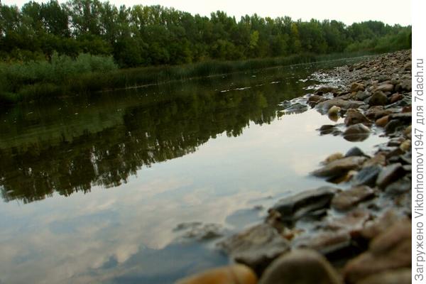 Обмелела Сакмара, а рыбка осталась и стала лучше клевать!