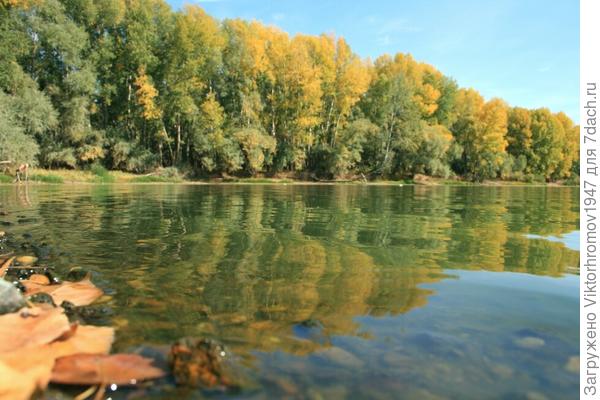 Вода чистая, но с сильным зелёным оттенком.