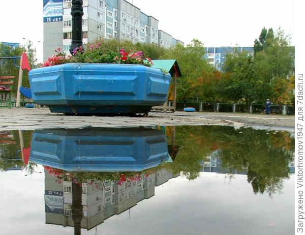 Клумба с цветами.