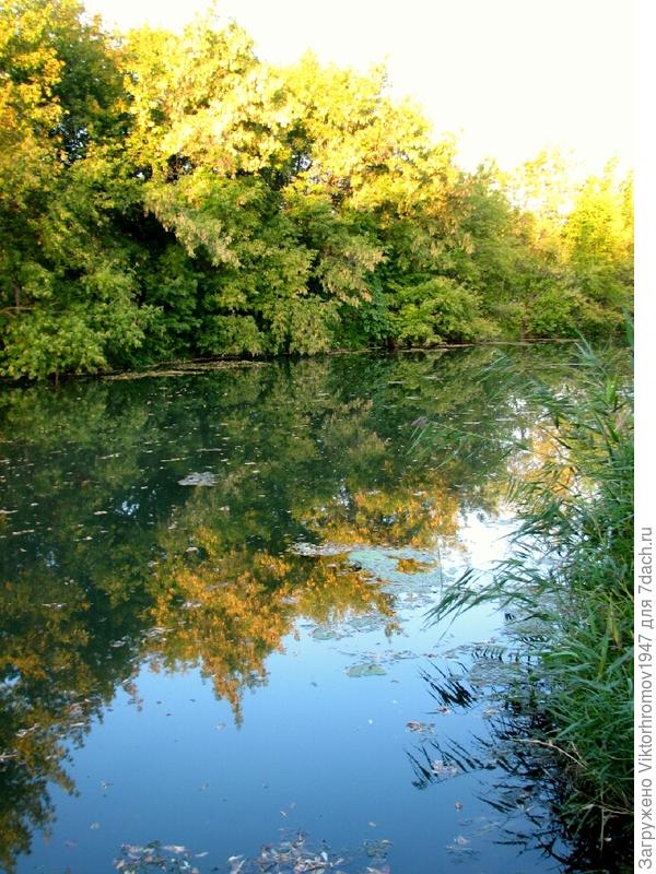 Зимой хорошо клюёт сорожка и крупный окунь.