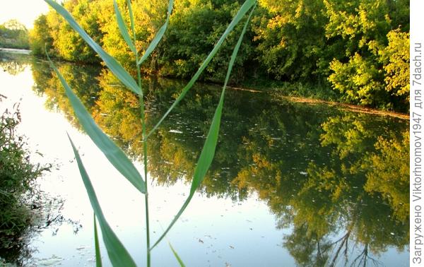 Есть и глубокие места