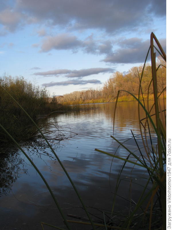 Ночные заморозки уже пробуют своии силы и по краям пытаытся заморозить поверхность