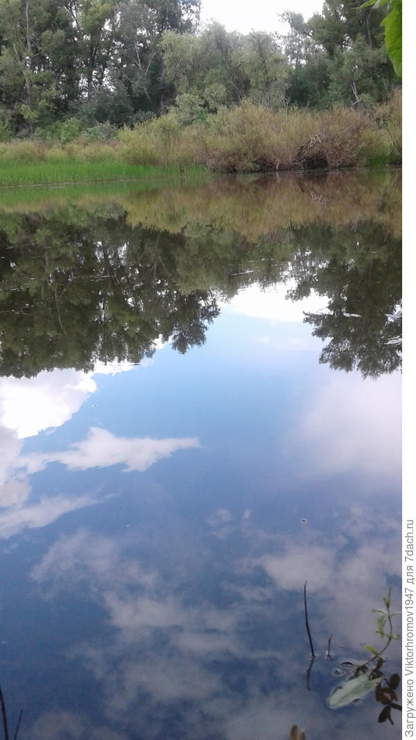 Осенняя водичка стала кристально чистой.