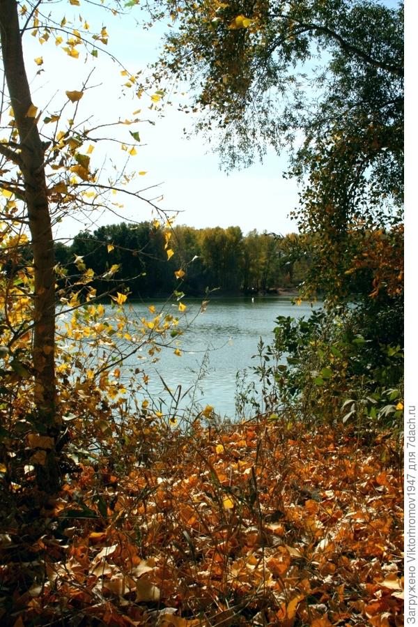 Золотые берега