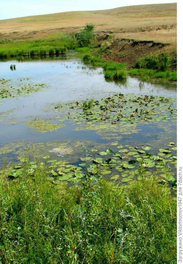 Степное озеро