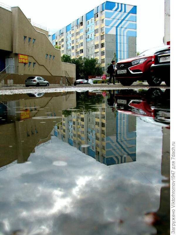 ОТРАЖЕНИЕ В ЛУЖЕ