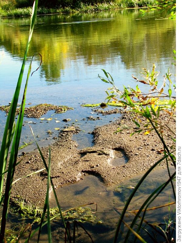 Кроме наших ещё чьи то следы. Размерчик солидный...