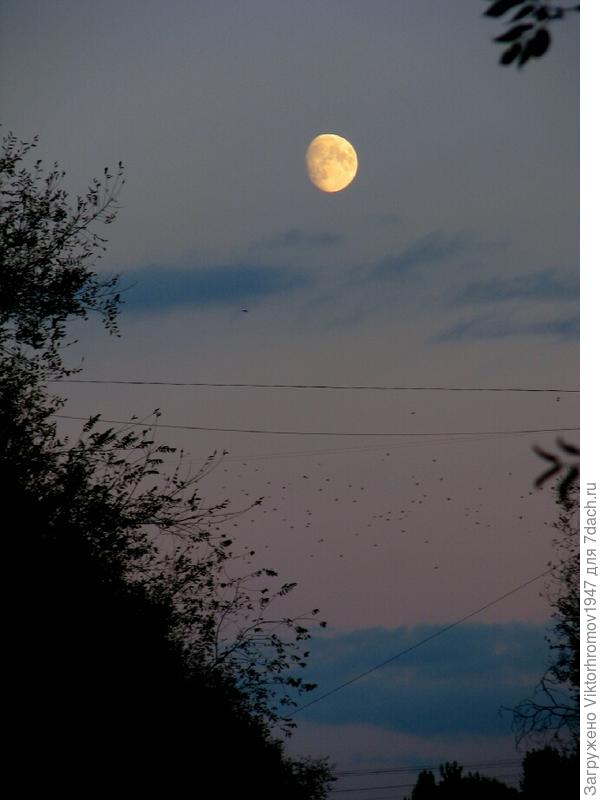 Ну а нас уже домой зовут...Соскучились наверное!...