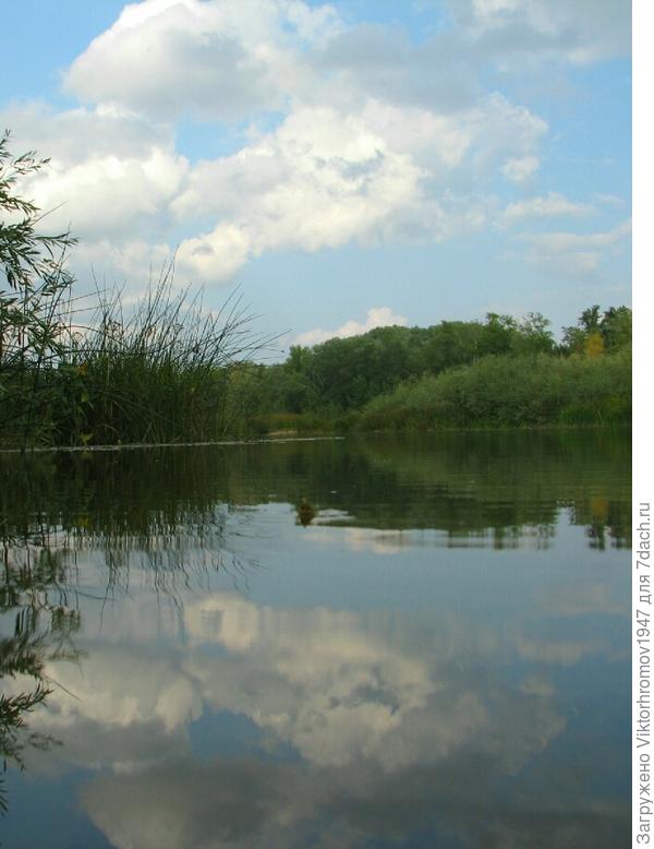 Пора и со спинингом побродить, поискать зубастую хищницу.