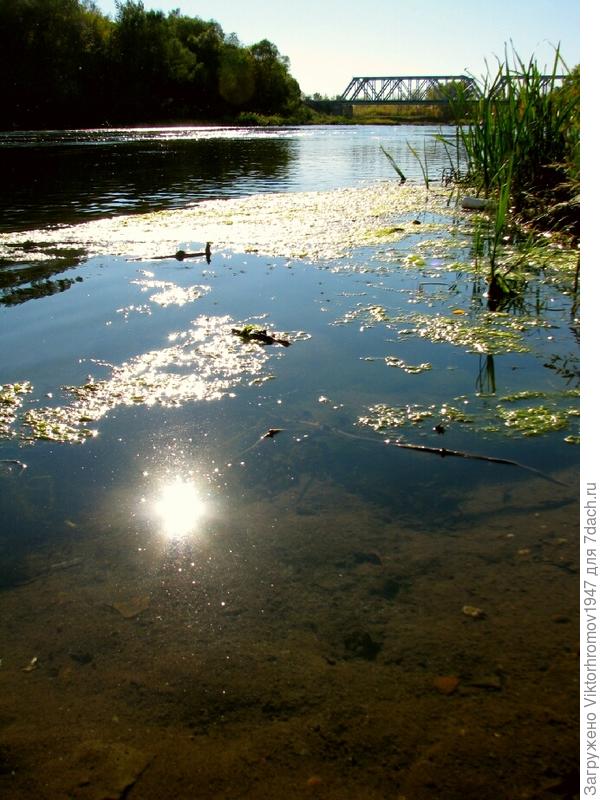 ВЕЧЕРНЯЯ ПРОГУЛКА ПО БЕРЕГУ УРАЛА