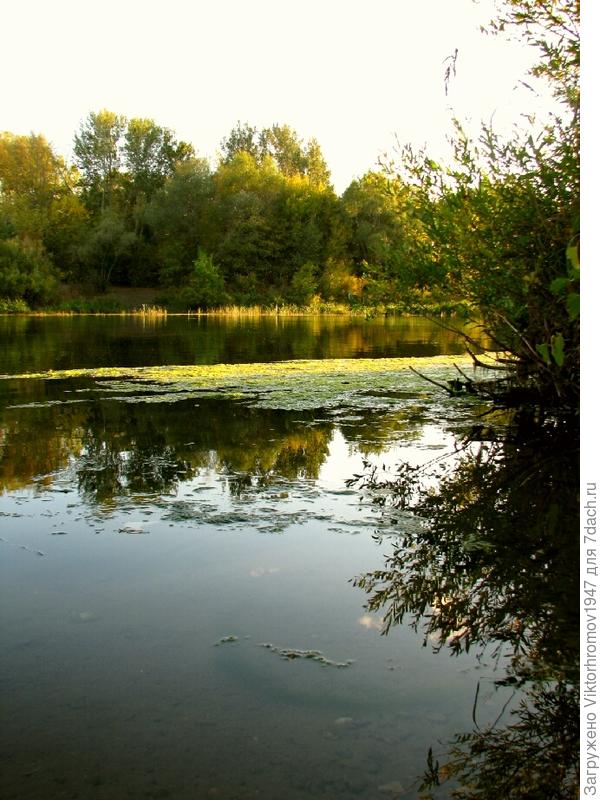 Доброе Осеннее Утро!