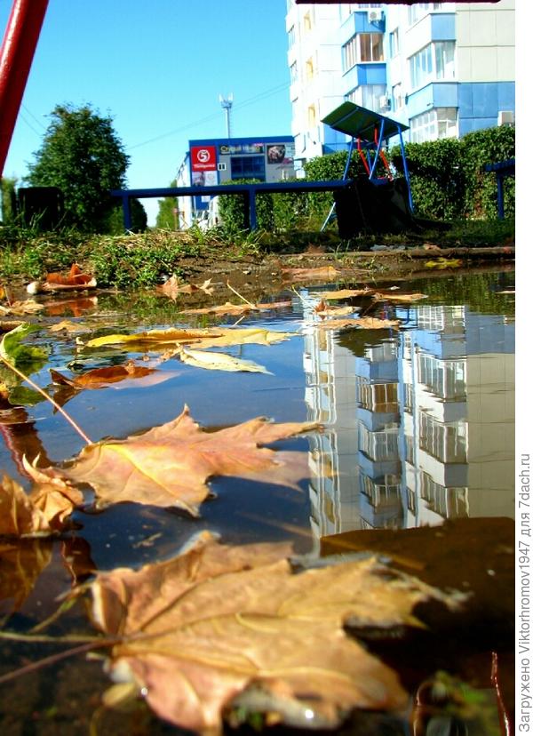 Осенняя лужа.