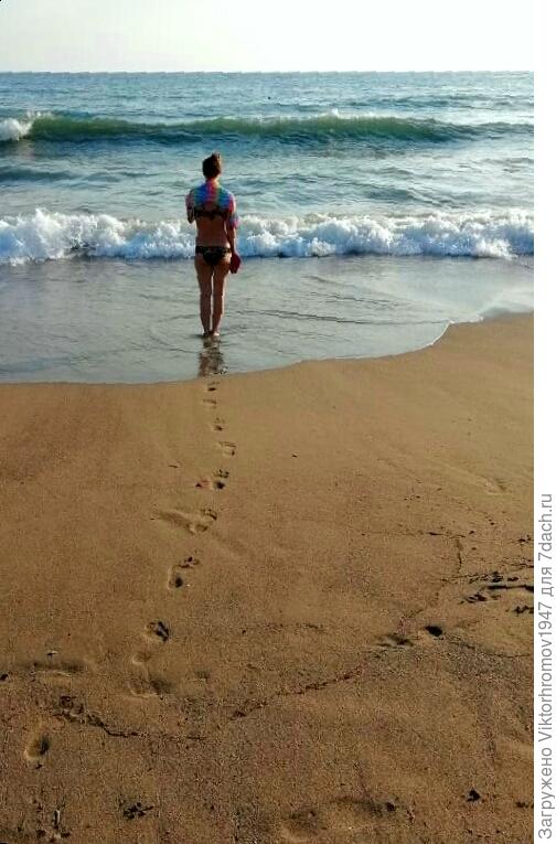 Семь шагов...