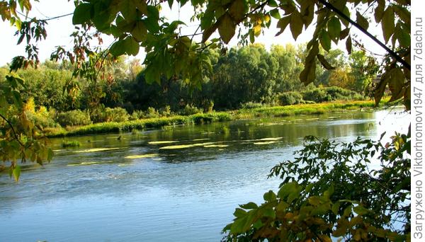 Это после грозы вымыло их из затонов и старого русла.