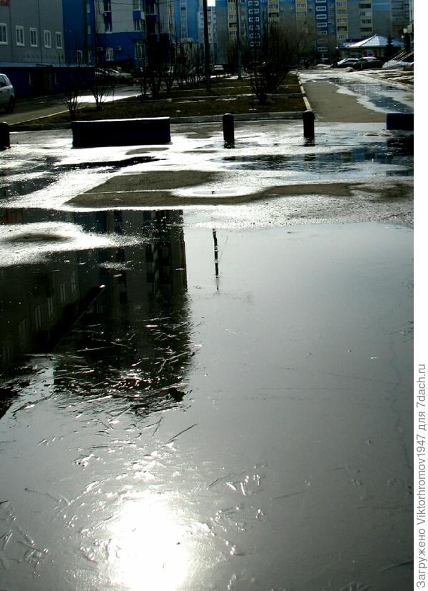 Вот и первый утренний заморозок...