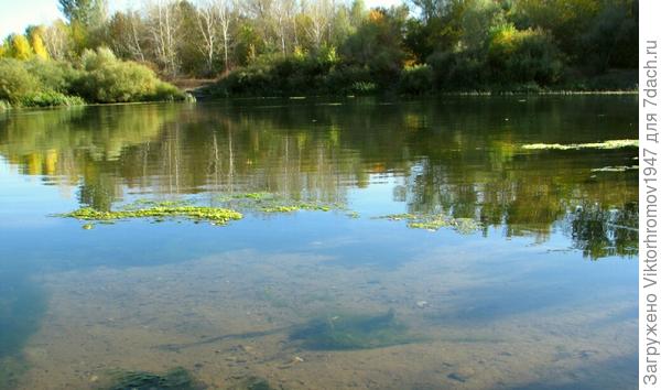 Дно видно это вода очень светлая - родниковая.