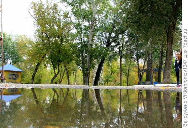 В Ленинском парке