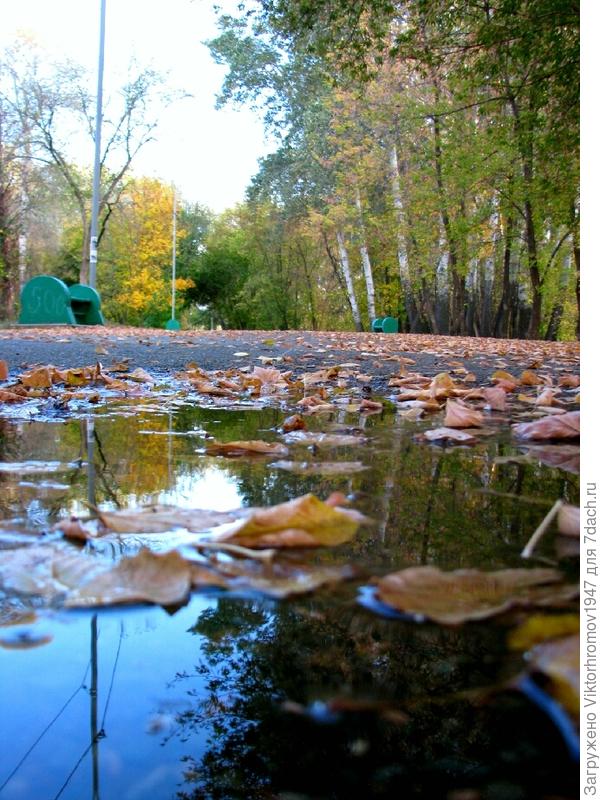 Это в парке