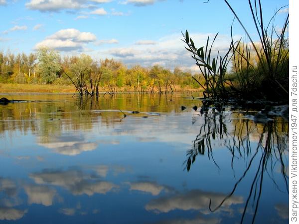 Облака. Есть надежда на хороший денёк...