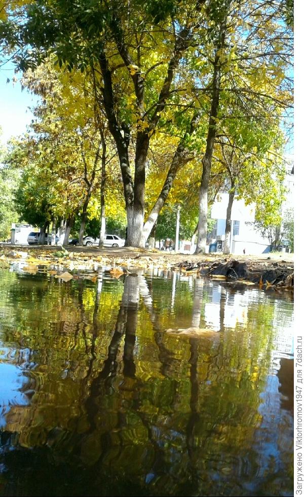 Виновата...Осень