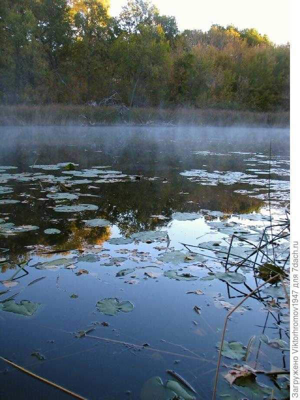 Морозное утро Октября.