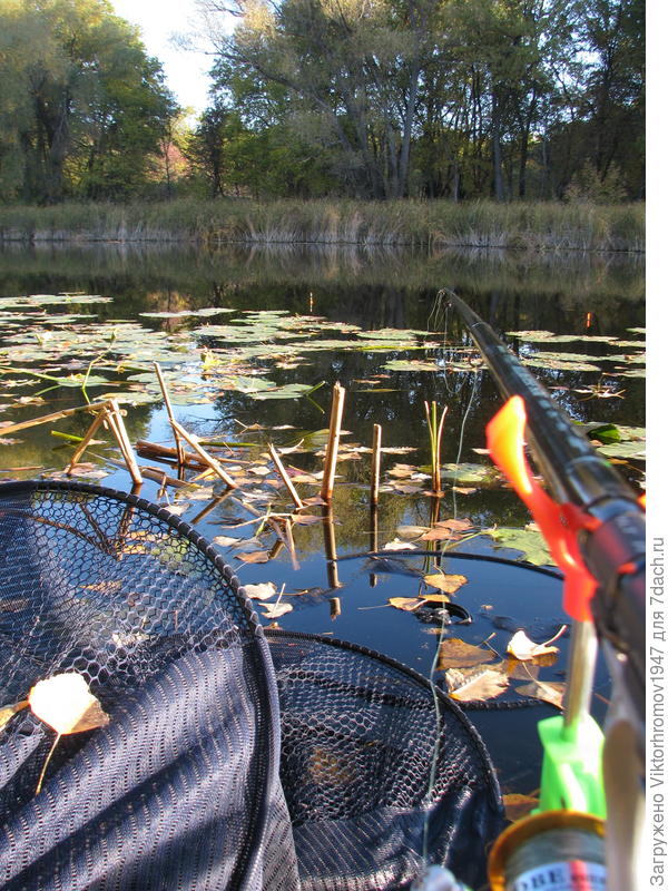 Садок большой