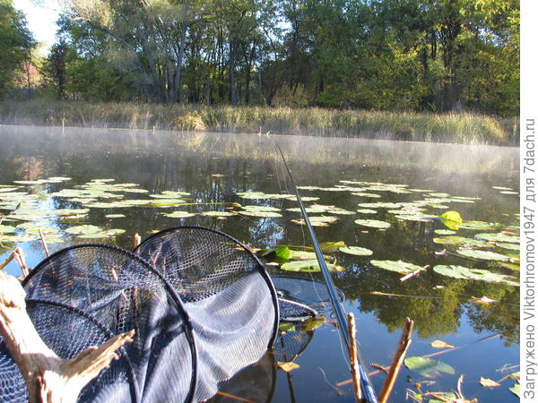 главные составляющие хорошего улова.