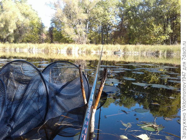 Ещё погода.