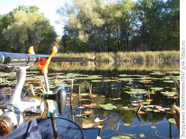 Без погоды нет и клёва...