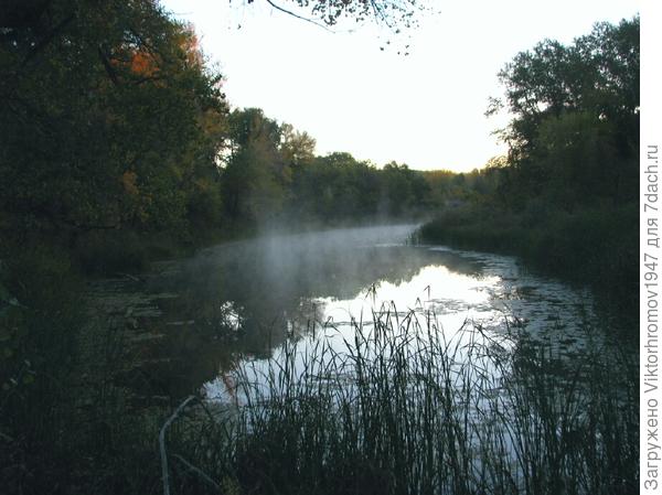 Синий туман...